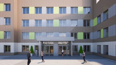 Власти показали проект нового стационара больницы в воронежском райцентре