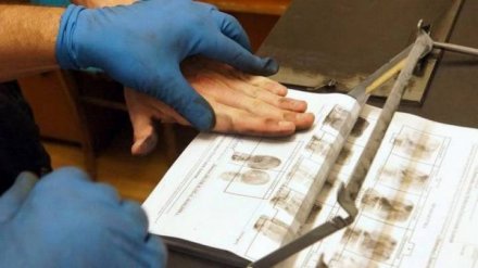 Воронежского профессора нашли расчленённым через три месяца после исчезновения