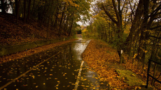Заморозки, ветер и дожди придут в Воронежскую область на новой неделе