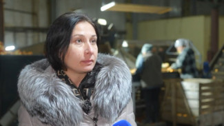Уволенного Геннадия Швыркова в правительстве Воронежской области заменит Ольга Яковлева