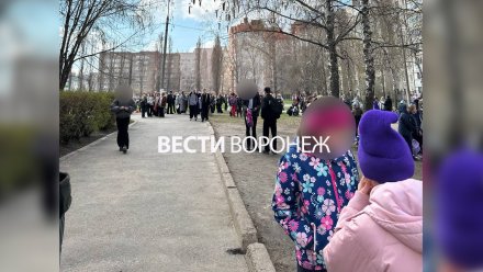 Перцовый баллончик распылили в воронежской школе №43 