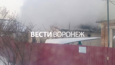 Спасатели обнаружили труп 72-летнего воронежца на месте пожара в Семилукских выселках