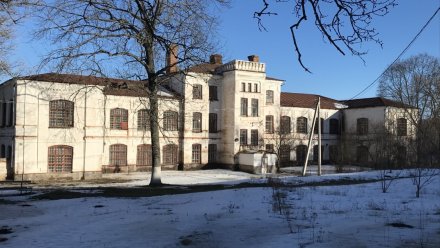 Воронежскую заброшенную психбольницу в Орловке выставили на продажу 