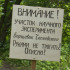 Опасные заросли борщевика на улице Крынина в Воронеже убрали