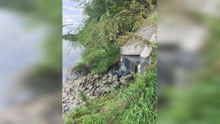 Воронежское предприятие заподозрили в сбросе сточных вод в Дон