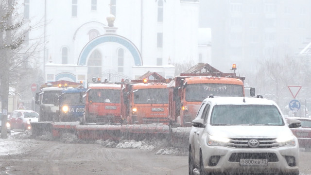 События недели: реформа городского хозяйства и оценка фертильности воронежцев