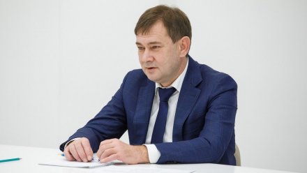 Владимир Нетёсов помог воронежцам решить вопросы благоустройства, ЖКХ и образования