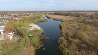 Уровень Битюга в Воронежской области опустился до самой низкой отметки за последние 100 лет