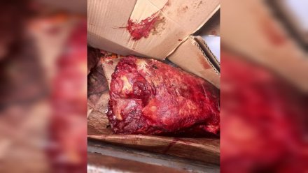 Водителя с незаконным грузом конины задержали на воронежской трассе