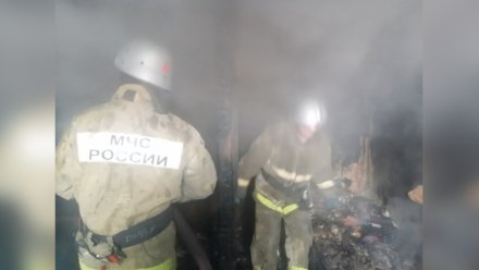 Труп женщины нашли после пожара в Новохопёрском районе