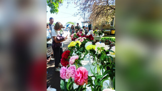 В Воронеже прошёл первый фестиваль пионов