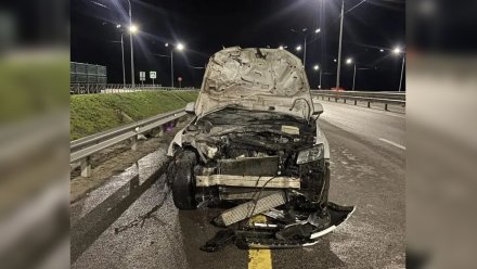 Audi насмерть сбила пенсионерку на воронежской трассе М-4