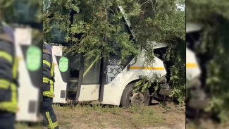 Воронежцы сообщили о пьяном ДТП с маршруткой