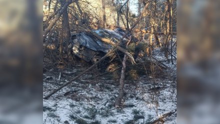 Легковушка с семьёй ростовчан вылетела в кювет и загорелась на воронежской трассе