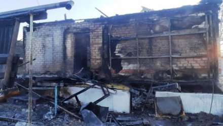 Следователи выяснят причину смерти на пожаре двух человек в воронежском посёлке
