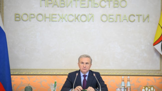 Верхнемамонский район продолжил работу с инвесторами 