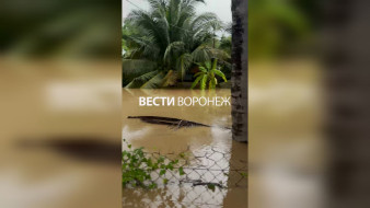 Более 40 человек погибших. Воронежская танцовщица попала в центр наводнения во Вьетнаме