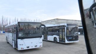 В Воронеж привезли 60 новых автобусов для региона