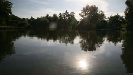 Санврачи забраковали ещё 6 водоёмов в Воронежской области