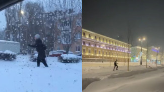Воронежцы начали передвигаться на лыжах по заснеженным тротуарам 