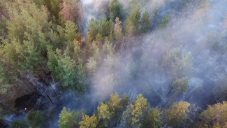 Воронежцам рассказали о самых пожароопасных участках лесов 