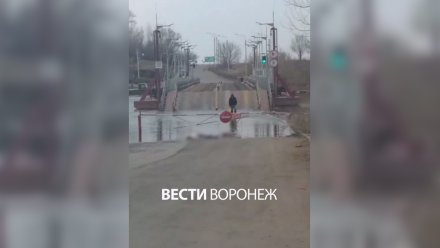 В Воронеже установили личность погибшей у понтонного моста в Шилове