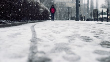 Воронежцам пообещали снежную рабочую неделю