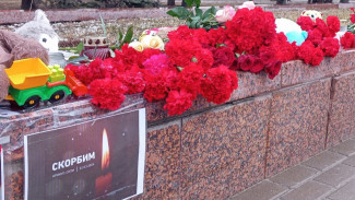 Цветы, игрушки и свечи. Как в Воронежской области почтили память жертв теракта в «Крокусе»
