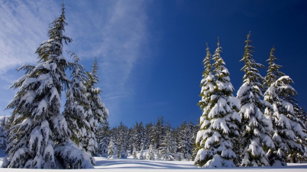 Прогноз погоды в Воронеже на 5.01.2026