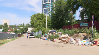 «Скоро крысы побегут». Частный сектор в Воронеже погряз в мусоре