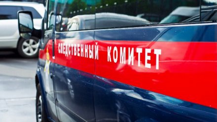 Женщина из Воронежской области убила престарелую мать после 15 лет разлуки