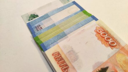 Воронежская область оказалась на 54 месте во всероссийском рейтинге зарплат