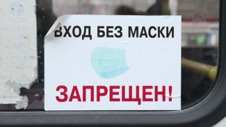 В Воронеже число нарушивших масочный режим в маршрутке возросло до 48