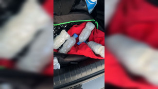 Водителя с крупным грузом метадона и героина задержали на воронежской трассе