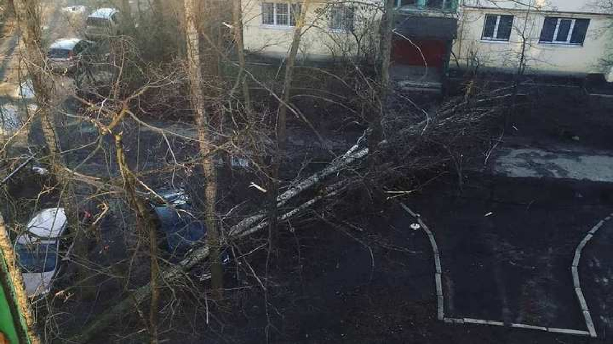 Ураган в гатчине сегодня. Ураган в Воронеже фото. Смерч в Воронеже. Ураган в Воронеже 2018 год. Ураган в Воронеже сегодня.