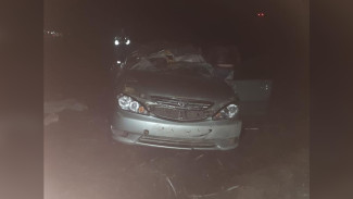 Toyota Camry перевернулась на воронежской трассе: 2 пострадавших