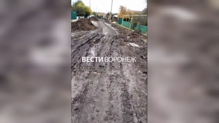 Жителям улицы в воронежском посёлке вернули воду спустя месяц