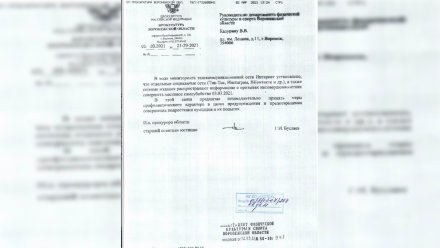 Воронежская прокуратура назвала подлинным документ о призывающих к суициду видео в TikTok