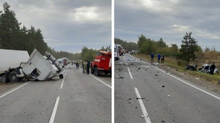 В Воронежской области легковушка влетела в фуру: погибли два человека