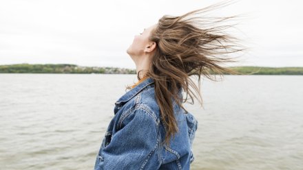 Синоптики предупредили воронежцев о сильном ветре до 21 м/с