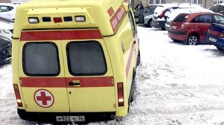 Воронежские врачи прокомментировали видео с застрявшей в снегу скорой