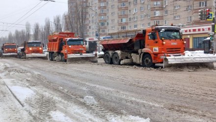 Воронежцев попросили не парковаться вдоль дорог