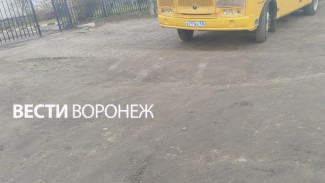 Глава Следкома поручил разобраться, почему дорога к воронежской школе стала непроходимой