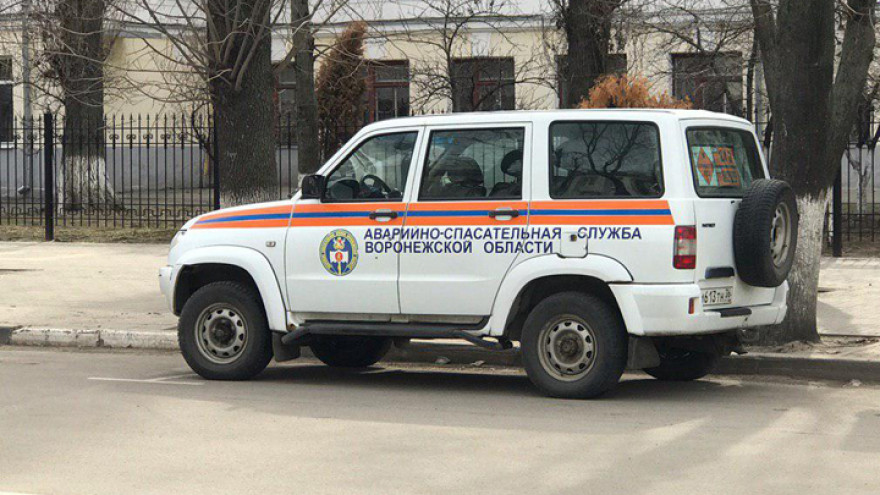 В Воронеже проверили рынок и два торговых центра после сообщений о бомбах