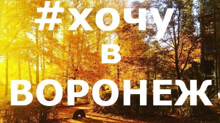 30 лучших фото воронежцев из соцсетей за неделю