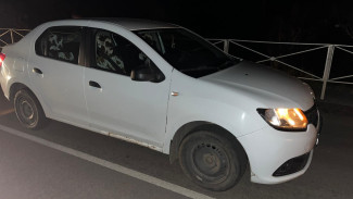 В Воронежской области мужчина попал под колёса Renault 