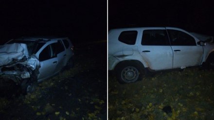 На воронежской трассе «Дон» случилось смертельное лобовое ДТП с двумя Renault Duster
