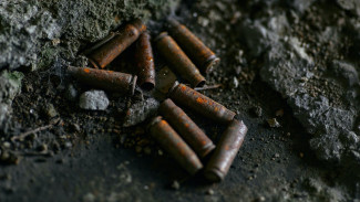 Воронежец ответит в суде за хранение 17 патронов на веранде