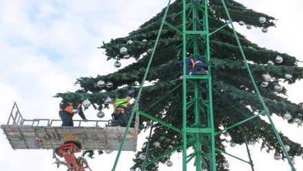 На площади Ленина в Воронеже начали устанавливать новогоднюю ёлку