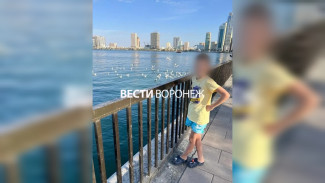 Полиция начала проверку после избиения воронежцем 12-летнего мальчика